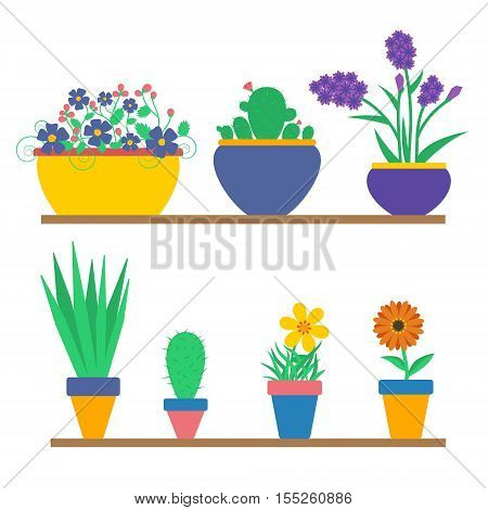 Set of flowers in the pots. Vector illustration