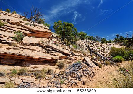 Stunning Colorful Sandstone Formations Of Yant Flat