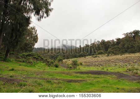 Climbing the volcano Semeru Indonesia. Clouds obscured the crater and green valley