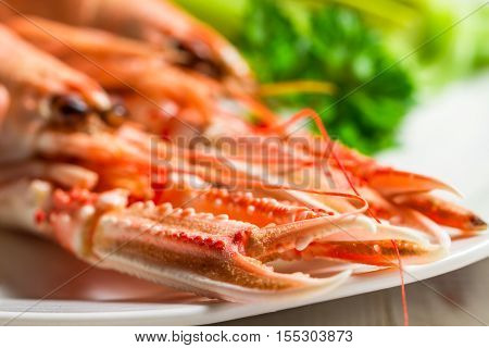 Feshly cooked scampi on a plate on old wooden table