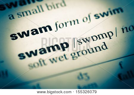 Close Up Of Old English Dictionary Page With Word Swam