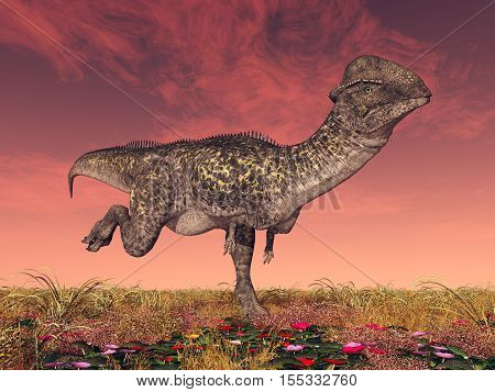 Computer generated 3D illustration with the dinosaur Stegoceras