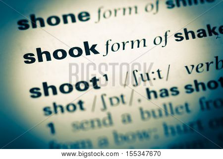 Close Up Of Old English Dictionary Page With Word Shook