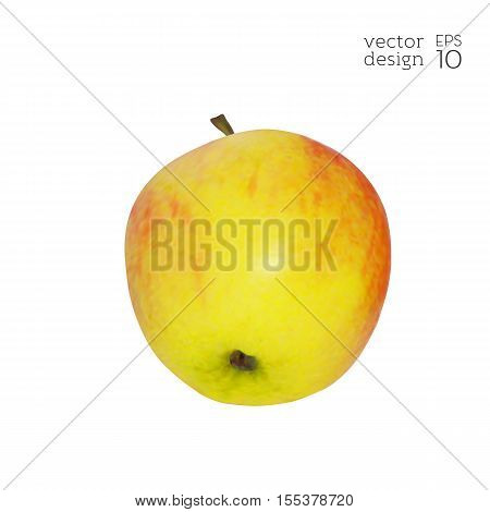 Apple-fruit-realistic-red-yellow-diet-4.eps