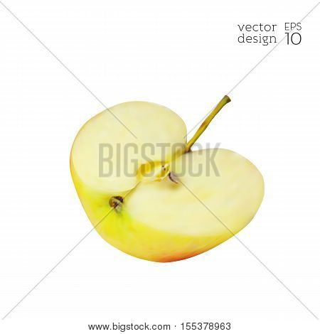 Realistic red and yellow apple iIsolated on white background. Natural fruit. Apple in the cut. Collection of dietary products. Elements for design. Vector illustration EPS 10.