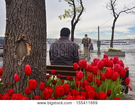Istanbul Turkey - April 18 2014: Besiktas Pier Square. Tulip season more beautiful after the rain Besiktas Pier the pier and the busiest square in the throat millions trip passes from one continent to other continents of the passenger.