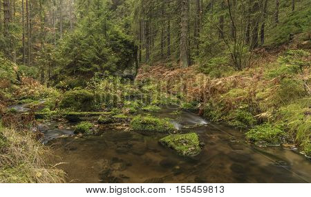 Autumn time near river Krinice in national park
