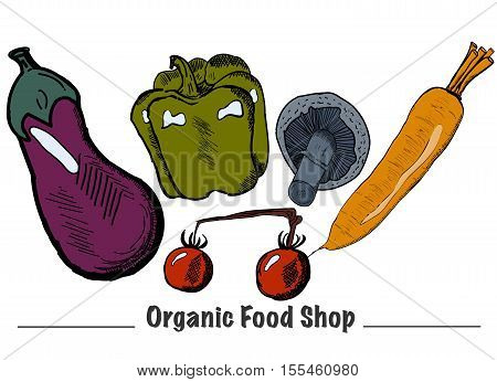 Hand drawn vector illustration with fresh vegetables for organic shop supermarket or grocery store. Vegan food.