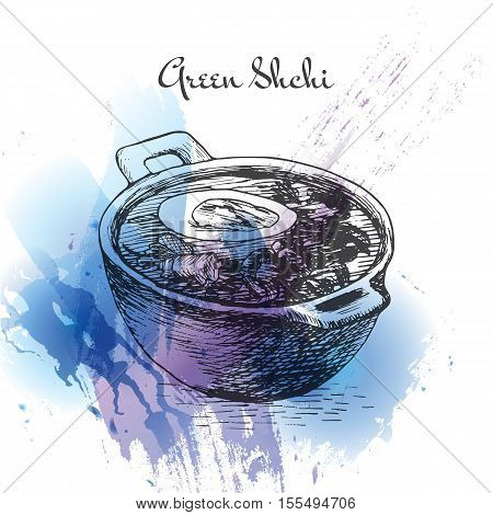 Green shchi watercolor effect illustration. Vector illustration of Russian cuisine.