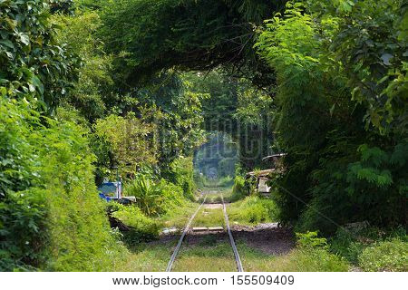 Old railway in a deep greenery tunnel near Bangkok, thailand