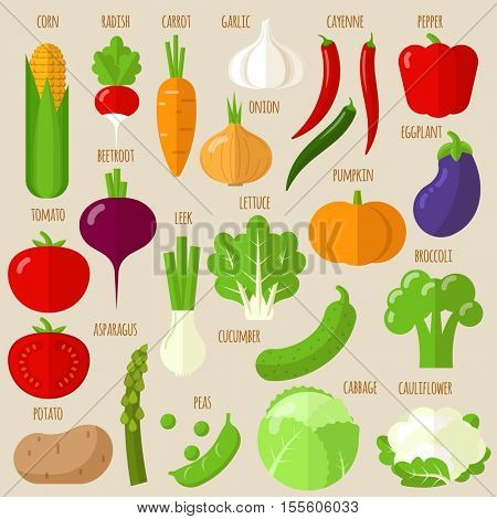 Flat design vector fresh raw vegetables icon set.