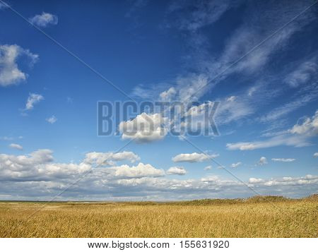 Yellow fields under a dramatic blue sky with white clouds nearby the ancient greek colony of Histria, on the shores of Black Sea. Histria is the oldest urban settlement on Romanian territory