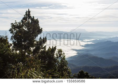Sea Of Mist With Doi Luang Chiang Dao, View Form Doi Dam in Wianghaeng Chiangmai Thailand