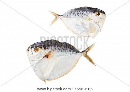 Pesce essiccato