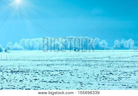 Winter Hazy And Sunshiny Landscape.