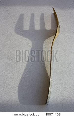 shadow fork
