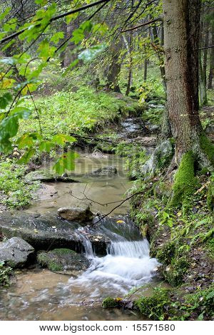 Fiume In autunno