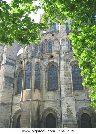 Cathedral View Of The Back With A Tree In Foreground, Bourges, France