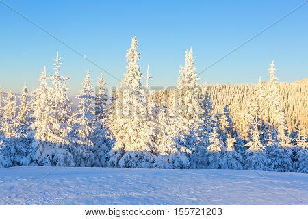 Extraordinary wild life condition inspire to thought about existence