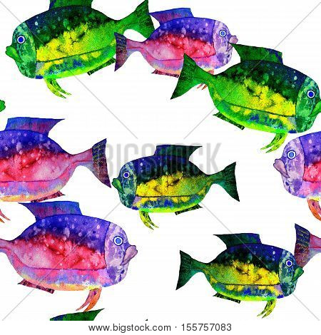 Hand drawn watercolor aquarium fish on white background.