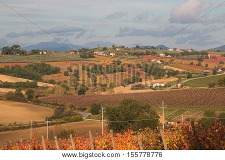 Rural Umbria landscape in the autumn season