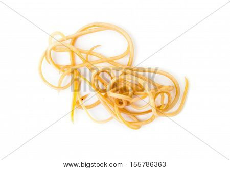 Helminthiasis Toxocara canis (also known as dog roundworm) or parasitic worms from little dog on white background Pet health care concept