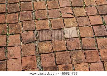 Walkway lined with orange brick . This image can be used as wallpaper.