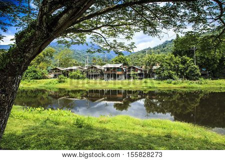 The house has a river running through the back yard. There is a shady green trees.