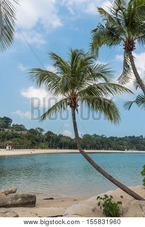 a beautiful Sandy Beach on Santosa Singapore