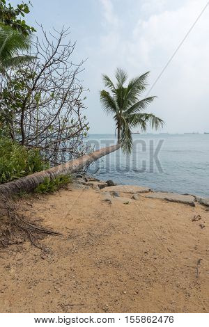 a beautiful Sandy Beach on Santosa Singapore