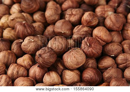 Hazelnut background. Pile of selected hazel close-up. For vegetarians.