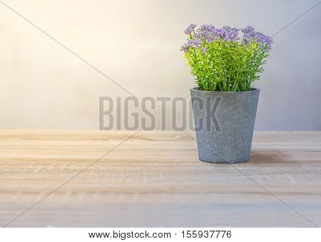 violet flower in gray pot on wood table