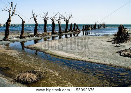 Ruins of the lost city of Epecuen in Argentina. Abandoned.