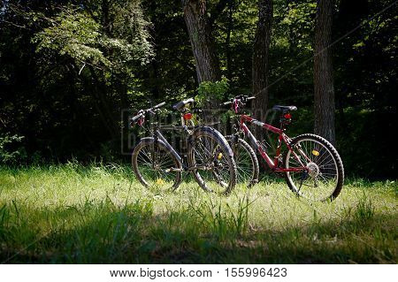 Pair of two bikes on the grass in front of trees
