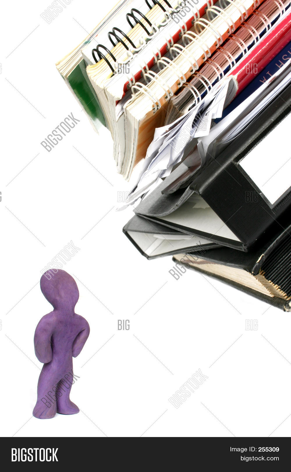 Image Preview
