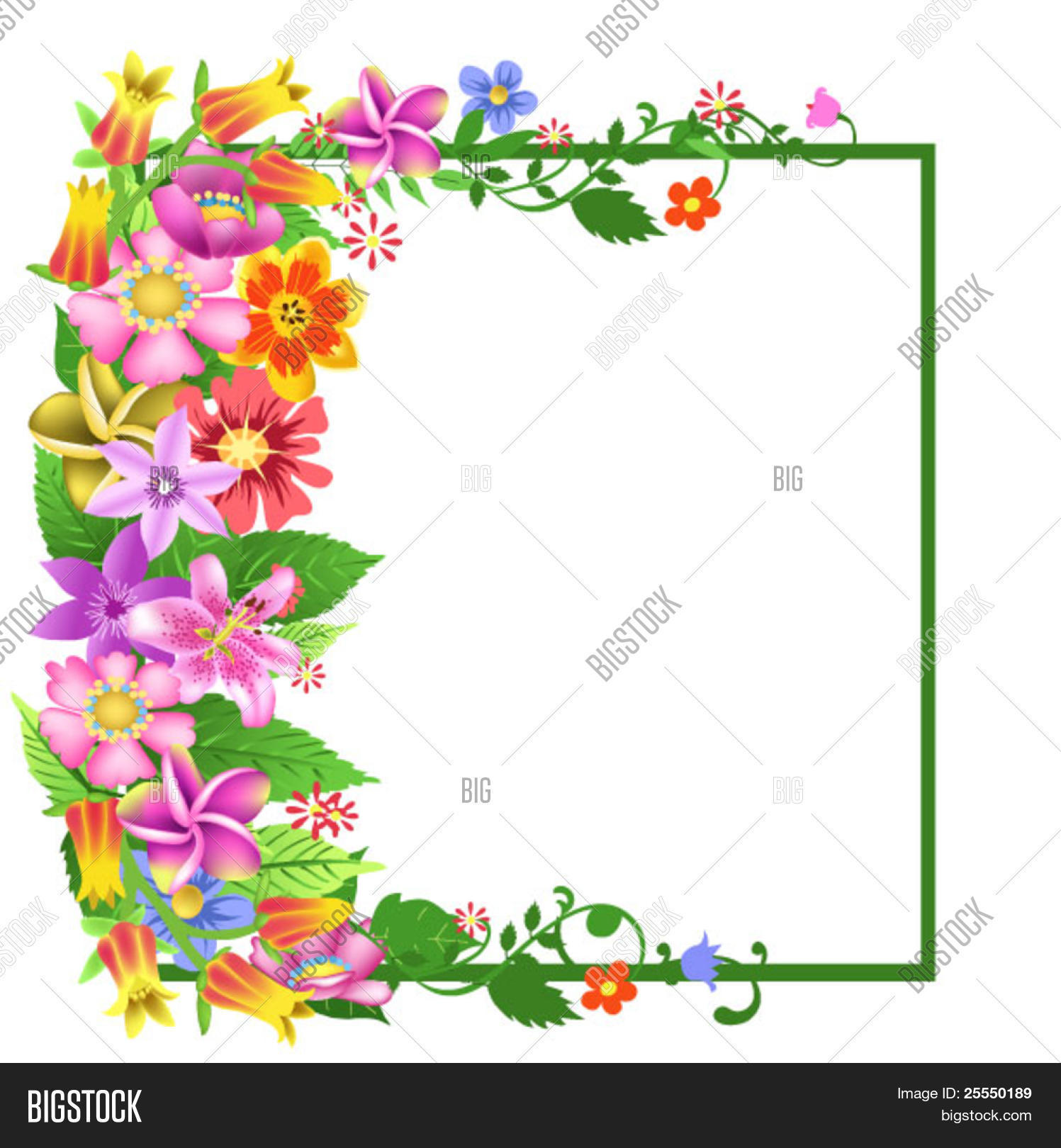 Image Preview