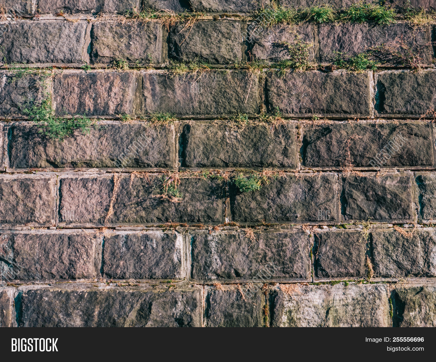 Old Gray Vintage Image Photo Free Trial Bigstock