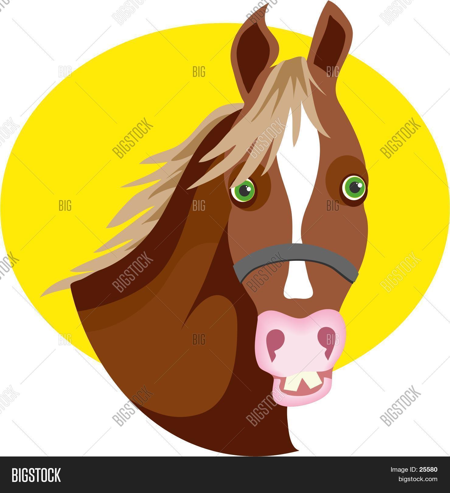 goofy-horse-image-photo-free-trial-bigstock