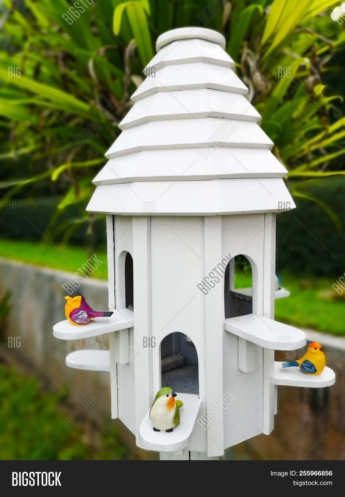 White Bird Nest House Image & Photo (Free Trial) Bigstock