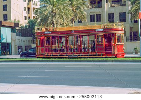 Dubai, United Arab Emirates, Tarm, Street And Nature. Travel Photo. 2015 Way And Palms.