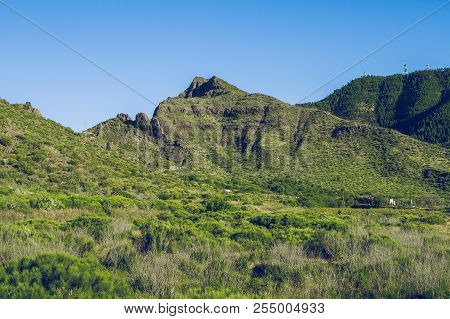 Beautiful Morning In Tenerife. Travel Photo At Spain.