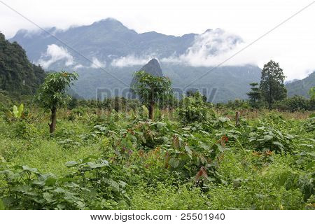 Kırsal Vang Vieng, Laos yakınındaki seçme oteller