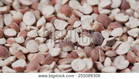 Chinese Gordon euryale seed