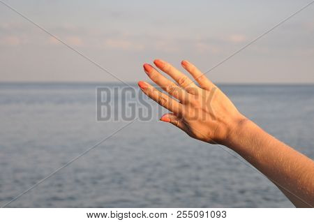 Female Hand Illuminated By The Setting Sun, Against The Background Of The Sea