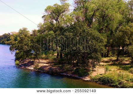 Lush Trees At A Riparian Woodland Besides The Sacramento River Taken In Redding, Ca