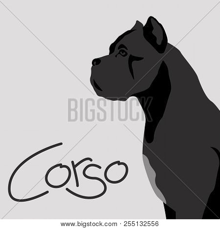 Dog Corso Vector Illustration Flat Style Profile Side
