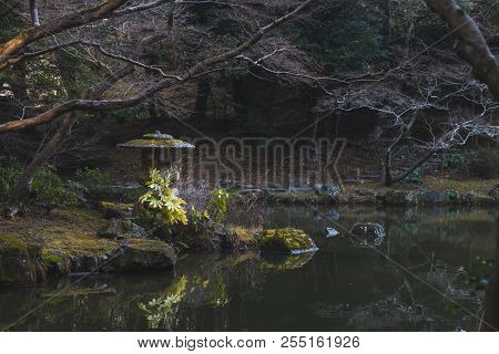 Naritasan Shinshoji Temple's Pond