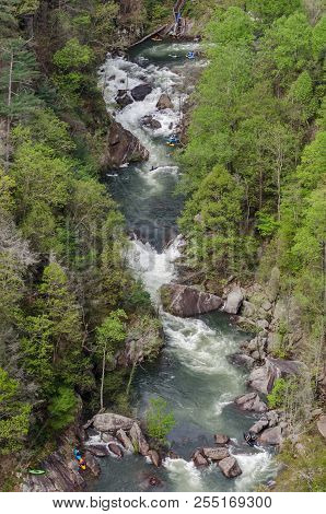 Kayakers Enjoy The Toccoa River On A High Release Day In Spring
