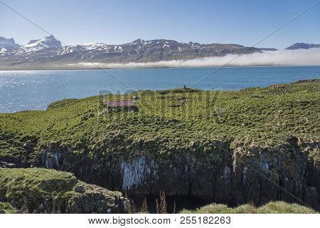 Borgarfjörður Eystri Harbor Peninsula, Iceland - Puffin Sanctuary