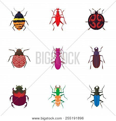 Order Coleoptera Icons Set. Cartoon Illustration Of 9 Order Coleoptera Icons For Web